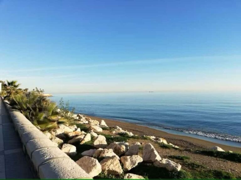 Guided tour of Malaga fishing scene with cooking workshop - The Sum Up