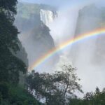 Guided Tour of the Falls Rainforest - Exploring the Itinerary in Depth
