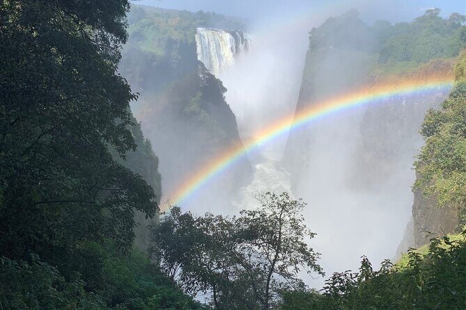 Guided Tour of the Falls Rainforest - Exploring the Itinerary in Depth