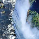 Guided Tour of the Falls (ZIM side) Wildlife Safari, by Savannah - Practical Details and Tips