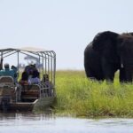 Guided Tour of Victoria Falls & Sunset Cruise Combo - The Sunset Cruise: Relaxing with a View