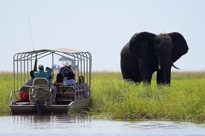 Guided Tour of Victoria Falls & Sunset Cruise Combo - The Sunset Cruise: Relaxing with a View