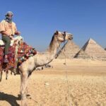 Guided Tour to Giza Pyramids & Sphinx and Grand Egyptian Museum - Transportation and Guide Experience