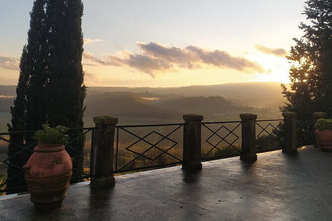 Guided tour with wine tasting and local organic products - The Essentials of the Tour