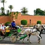 Guided Unveiling the Medina's Wonders of Marrakech - What the Reviews Reveal: Authentic Insights from Travelers