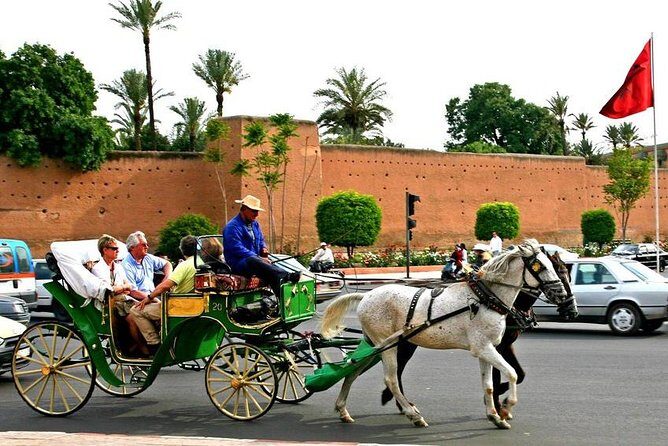 Guided Unveiling the Medina's Wonders of Marrakech - What the Reviews Reveal: Authentic Insights from Travelers