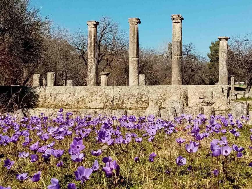 Guided visit to ancient Olympia with an Italian-Greek archaeologist tour guide - What Makes This Tour Stand Out?