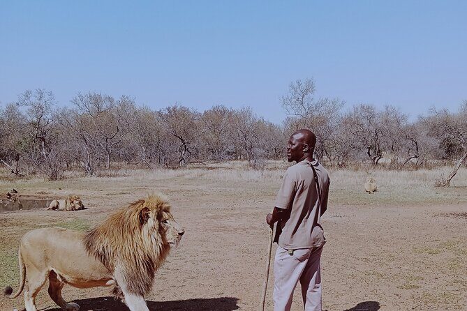 Guided Walking with Lions Bush-walk Tour - Who Should Consider This Tour?