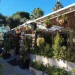Haifa Culinary Private Tour - A Closer Look at the Experience
