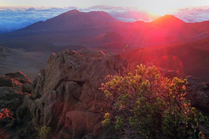 Haleakala Sunrise Tour with Breakfast and West Side Pickup - The Experience in Detail