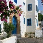 Half a day in Sidi Bousaid from Hammamet - Transportation and Logistics