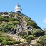Half day Cape Point Sightseeing Tour with Penguins from Cape Town - The Itinerary in Detail