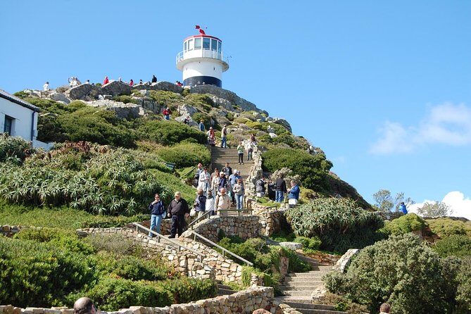 Half day Cape Point Sightseeing Tour with Penguins from Cape Town - The Itinerary in Detail