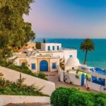 Half-Day Carthage, Sidi Bou Said Private Tour with Licensed Guide - The Experience: What Works Well