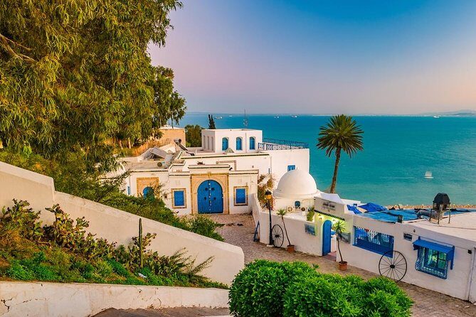 Half-Day Carthage, Sidi Bou Said Private Tour with Licensed Guide - The Experience: What Works Well