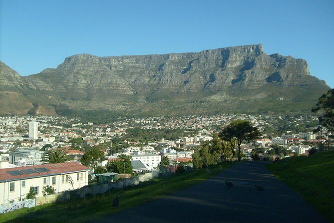 Half day City & Table Mountain Tour - What’s Included and What’s Not