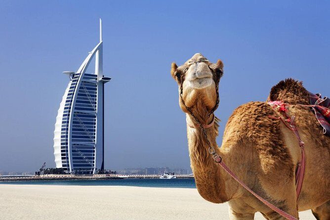 Half Day City Tour with Dubai Frame Tickets - Why This Tour Works Well