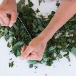 Half Day Cooking Class Experience with Amman Panoramic Tour - Who Will Love This Experience?
