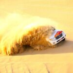 Half-Day Desert Safari from Abu Dhabi - Practical Details and What to Expect