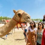 Half-Day Desert Tour - What’s Included and What’s Not