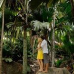 Half Day Discovery Tour of Vallee de Mai on Praslin Island - Authentic Experiences & Review Insights
