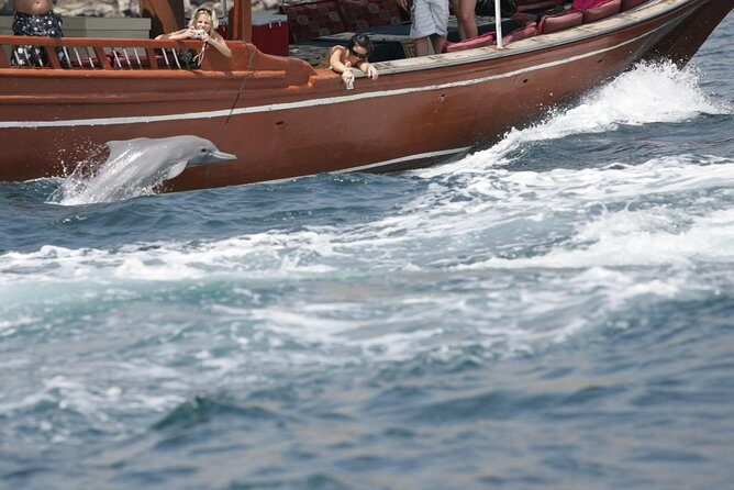 Half Day Dolphin Watching Musandam Dhow Cruise - How the Tour Compares to Other Experiences