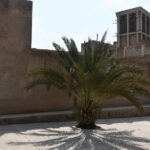 Half Day Dubai City tour ( Sharing Group ) - A Detailed Breakdown of the Tour Experience