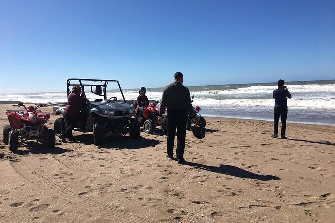 Half day dune Sahara Buggy in Agadir - Who Will Love This Tour?