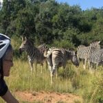 Half Day E-Biking with Wildlife Watching in Pretoria - The Guides and Group Size