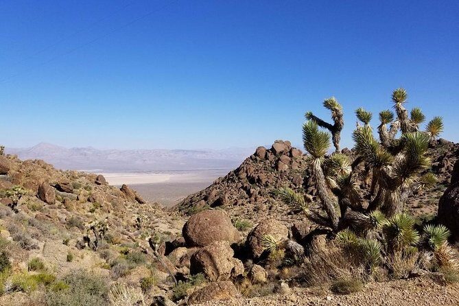 Half-Day Electric Bike Tour of Red Rock Canyon - The Itinerary: What to Expect