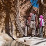 Half-day excursion the mountain oases from Tozeur - Detailed Breakdown of the Itinerary
