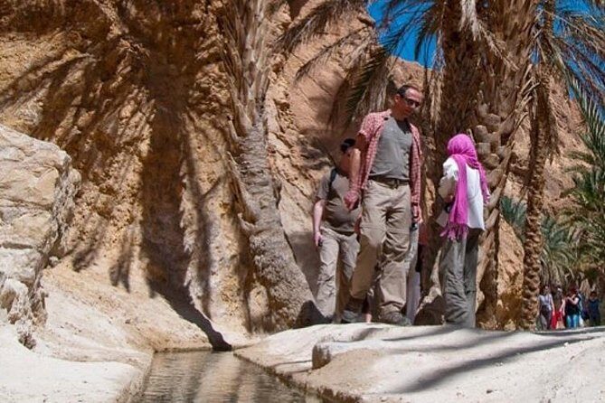 Half-day excursion the mountain oases from Tozeur - Detailed Breakdown of the Itinerary