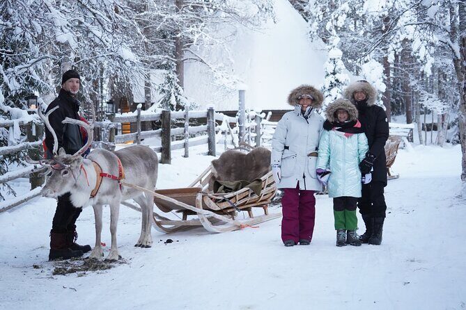 Half-Day Experience in Local reindeer farm in Lapland - Practical Tips for Travelers