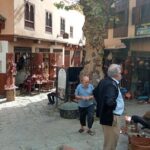 Half-Day Guided Tour in Fes - Final Thoughts: Is This Tour Right for You?
