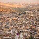 Half Day Guided Tour in Fez Medina - What You’ll Love About This Tour