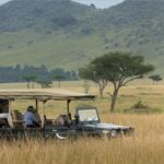 Half Day Hluhluwe Imfolozi Game Reserve from Richards Bay - Price and Value