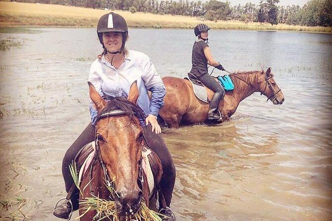 Half Day Horseback Wine Tour - Lunch and Relaxation