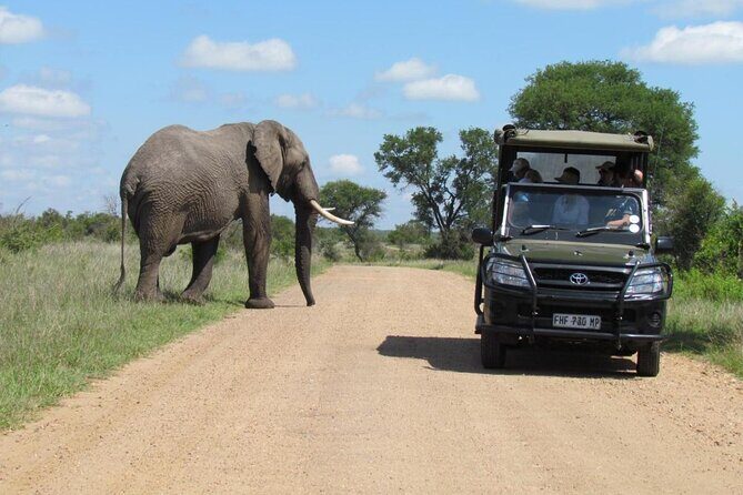 Half Day Kruger Open Vehicle Safari from Marloth Park - Practical Tips and Considerations