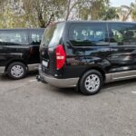 Half-Day Lion and Safari Park Tour - In-Depth Breakdown of the Tour Experience