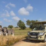 Half Day Lion Park tour from Johannesburg or Pretoria - Downsides and Considerations