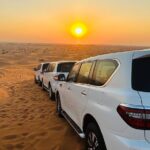 Half-Day Morning Desert Safari in Dubai - Who Will Appreciate This Tour?