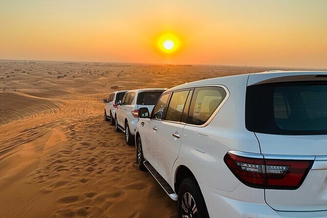 Half-Day Morning Desert Safari in Dubai - Who Will Appreciate This Tour?