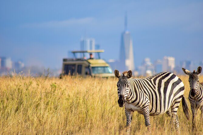 Half Day Nairobi National park - Final Thoughts