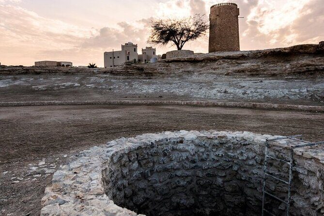 Half-Day North Qatar Tour - Guided Service