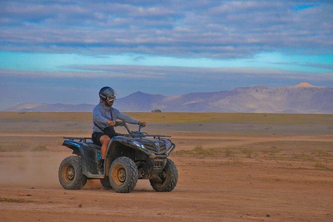 Half-Day Palm grove desert Quad & Camel Tour - Practical Details and Considerations