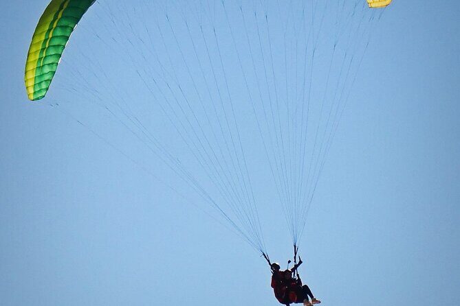 Half-Day Paragliding in Marrakech and Atlas Mountains - The Practical Side: Value and Considerations