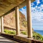 Half day Peninsula & Wine Combo tour - Who Is This Tour Best Suited For?