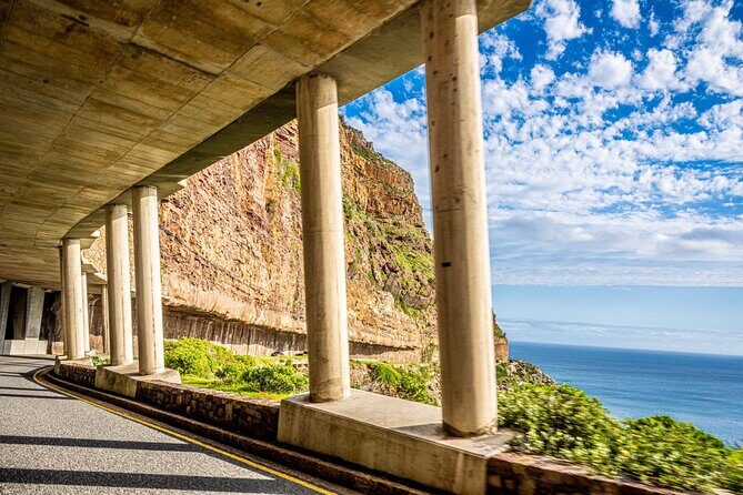 Half day Peninsula & Wine Combo tour - Who Is This Tour Best Suited For?