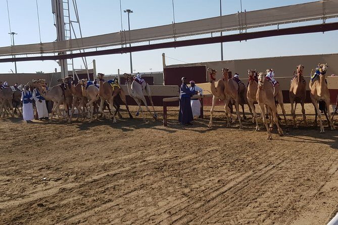 Half-Day Private Guided Camel Race Tour in Qatar - Frequently Asked Questions (FAQs)