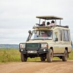 Half-Day Private Guided Safari Tour to Nairobi National Park - The Value of This Safari
